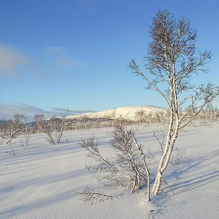 Stunning In Hovden I Setesdal With 3 Bedrooms And Wifi *
